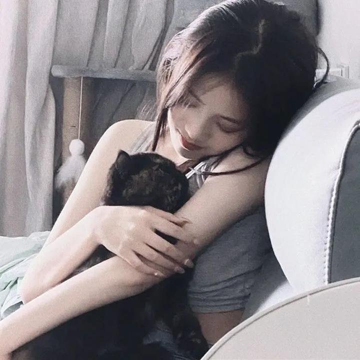 奶牛阴谋