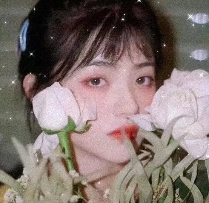 百合的雨声